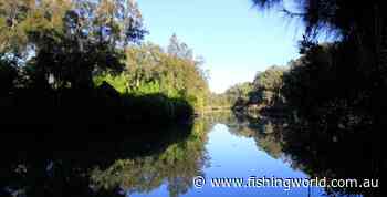 Sydney Water guilty of polluting Prospect Creek with 280,000 litres of sewage - Fishing World