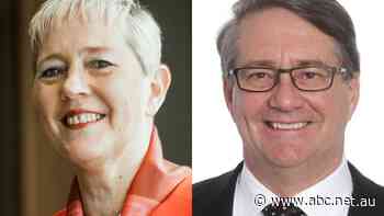 Sydney news: Selection panelist and recruiter to front inquiry into Barilaro's lucrative trade appointment - ABC News