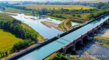 ANCHE VERCELLI SOFFRE LA SETE - RisoItaliano | Il portale del riso - Risoitaliano.eu