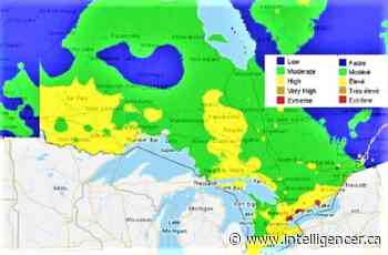 Very dry conditions trigger 'total burn ban' by Quinte municipal officials - The Intelligencer