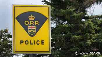 Body of missing boater identified as Ottawa man - CBC.ca