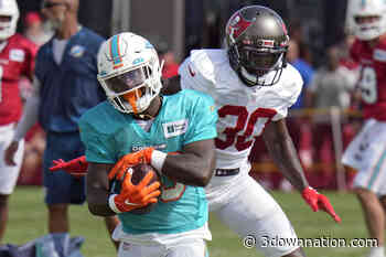Miami Dolphins waive former Ottawa Redblacks' returner DeVonte Dedmon - 3downnation.com