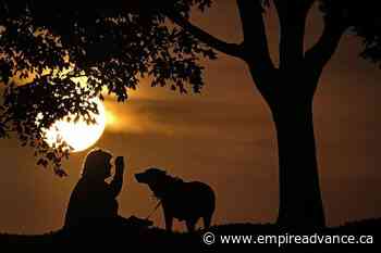 Monkeypox can spread to pet dogs, doctors report - Virden Empire Advance