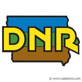 Fish kill at Storm Lake linked to virus that impacts only carp - Radio Iowa