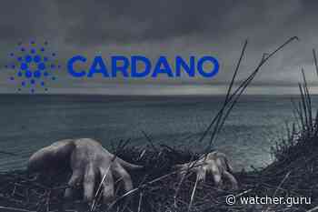 Is Cardano [ADA] a mere ghost chain? - Watcher Guru