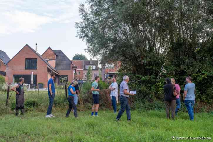 Buurtbewoners minder ongerust na bezoek van dijkgraaf en aannemer: Polderbestuur laat vervuild slib uit Hemelhoefloop halen