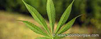Compass Group, Job Seeker Settle Medical Marijuana Use Bias Suit - Bloomberg Law