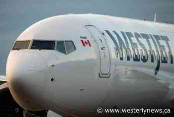 Comox-Puerto Vallarta direct flight return to Vancouver Island later this year - Tofino-Ucluelet Westerly News