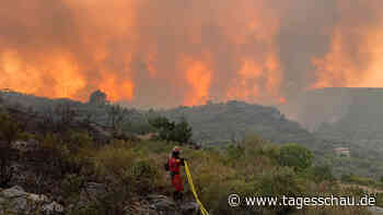 Waldbrände: Lage in Spanien und Portugal entspannt sich