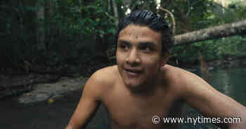 ‘The Territory’ Review: Saving the Amazon, One Camera at a Time