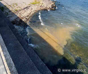 Luino, un numero di telefono per segnalare gli sversamenti nel lago - Virgilio