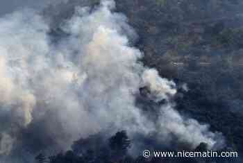 En Algérie, le bilan des feux de forêt dans plusieurs localités grimpe à 26 morts