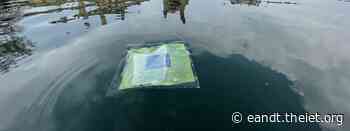 Floating 'artificial leaves' could produce clean fuel for the shipping industry - E&T Magazine