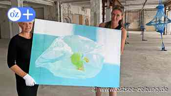 Spurwechsel in Stralsund: Künstler erobern ehemaliges Wertheim-Kaufhaus - Ostsee Zeitung