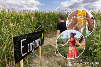 Maislabyrinth, Biermarkt und die kleine Hexe: In Chemnitz und Umgebung gibt es wieder viel zu erleben - TAG24