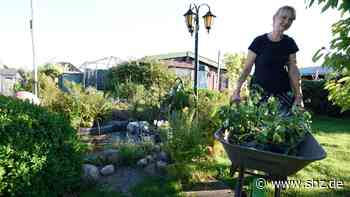 Kleingärtnerverein Barmstedt: Warum diese Arbeit für viele Kleingärtner wie Urlaub ist - shz.de