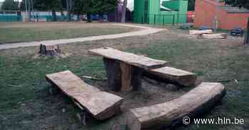 Gevelde boom omgetoverd tot zitbank in Wildemanspark | Herent | hln.be - Het Laatste Nieuws