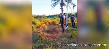 Cadáver em decomposição é encontrado no núcleo Morada Nova - Correio de Carajás