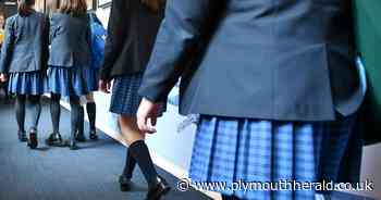 Should school uniforms be free? Have your say - Plymouth Live