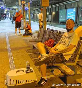 Von Hamburg nach Stade: Mit der S 3 durch die Nacht - Stade - Tageblatt-online