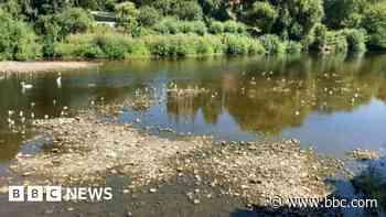 River Wye at Hereford Bridge now 2cm deep amid dry spell - BBC