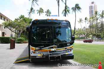 Oahu and Hawaii Island offering free public bus rides: 'A great way to save some money'