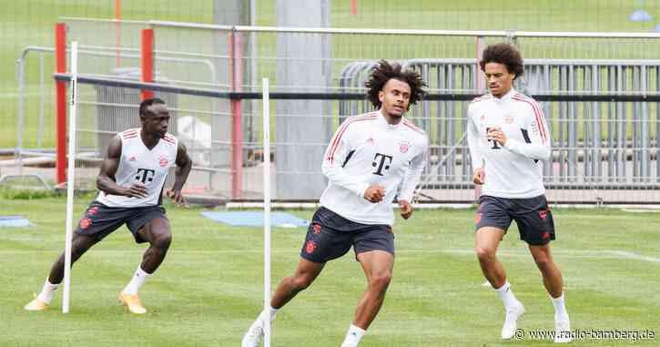 Medien: Münchner Zirkzee vor Rückkehr nach Anderlecht