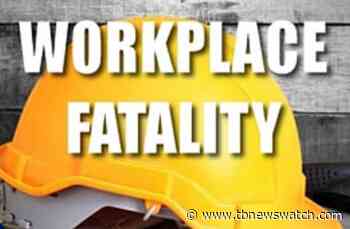 A Thunder Bay company faces charges after a workplace fatality - Tbnewswatch.com