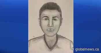 Edmonton police search for sexual assault suspect in city’s northwest