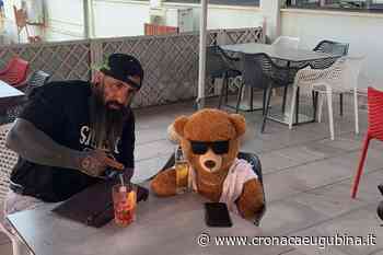 A Gubbio l'orso Claudio da mascotte a personaggio pubblico. L'idea è di uno staff di ragazzi eugubini - Cronaca Eugubina
