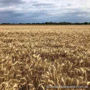 Dürre macht Landwirten zu schaffen - radioeuskirchen.de
