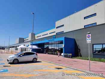 Termoli: Autobus per Amazon cercasi - Termoli Online