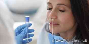 Termoli, Isernia, Campobasso: Covid: nel Molise 209 contagi e 64 guariti - Termoli Online