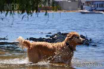Heat wave continues in Okanagan, Kamloops | iNFOnews | Thompson-Okanagan's News Source - iNFOnews