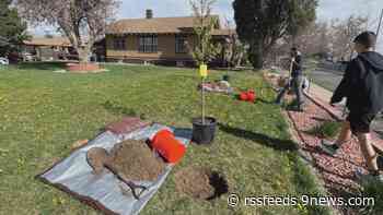Effort continues to get more trees planted in Globeville