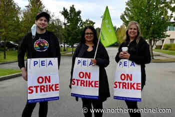 B.C. Professional Employees Association issues strike notice, calls for inflation protection - Kitimat Northern Sentinel
