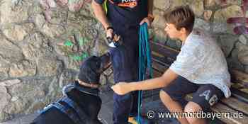 Suchhunde der Oberpfälzer Polizei trainieren mit eineiigen Zwillingen - Nordbayern.de