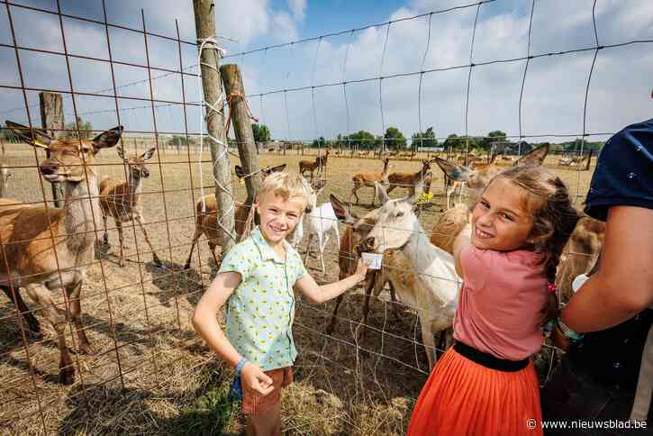 Fietsroute Kievitslus laat deelnemers op speelse manier kennismaken met ‘den boerenbuiten’: “Heel veel kinderen weten niet eens waar melk vandaan komt”