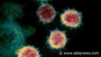 B.C. scientists find ‘weak spot’ in COVID-19 virus that could lead to new treatments