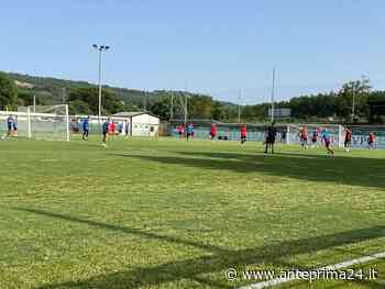 Benevento, seduta a porte aperte: Barba a parte, problemi per Koutsoupias - anteprima24.it