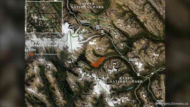 Prescribed wildfire in Banff National Park to close campground, trail