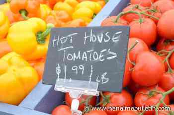 Spring’s cold shoulder has left Vancouver Island farmers behind