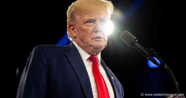 Op-Ed: Stop Calling Every Republican Who Disagrees with Trump a 'RINO'