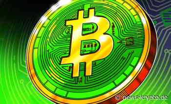 Bitcoin Cash (BCH) Stahl taumelt vom gestrigen Preisverfall - Krypto News Deutschland