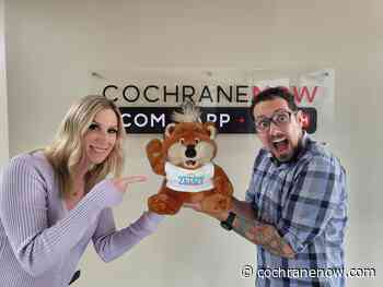 PODCAST: Should Cochrane get a Zellers? - CochraneNow.com