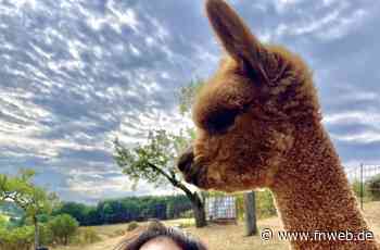 Dienstadt: Auf dem Wennes-Hof wird Tierliebe großgeschrieben - Tauberbischofsheim - Nachrichten und Informationen - Fränkische Nachrichten