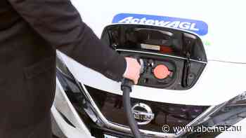 Labor signals new fuel standards in bid to boost electric vehicle uptake