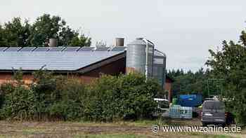 Kadaver in Garrel entsorgt: Landwirt kann für Tod von 850 Tieren kaum noch belangt werden - NWZonline