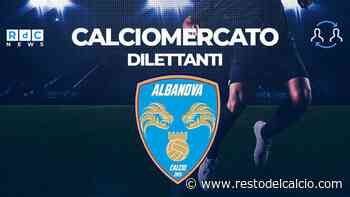 Un ex Sora e Pomezia per l’Albanova, rinforzo di qualità per i biancazzurri - Il resto del calcio