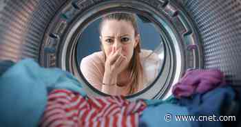 Get the Mold Out of Your Washing Machine for Fresher-Smelling Clothes     - CNET